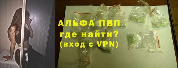 ПСИЛОЦИБИНОВЫЕ ГРИБЫ Богданович