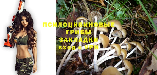 гидра Беломорск