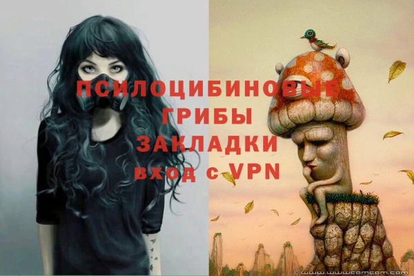 марихуана Белокуриха