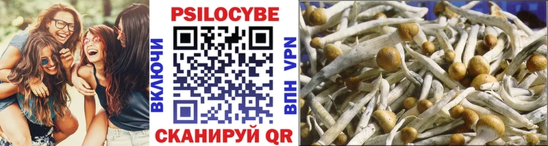 Галлюциногенные грибы Magic Shrooms  Духовщина 